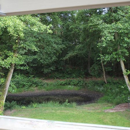 Landhuisjes Bij De Wouterbron Opglabbeek 部屋 写真