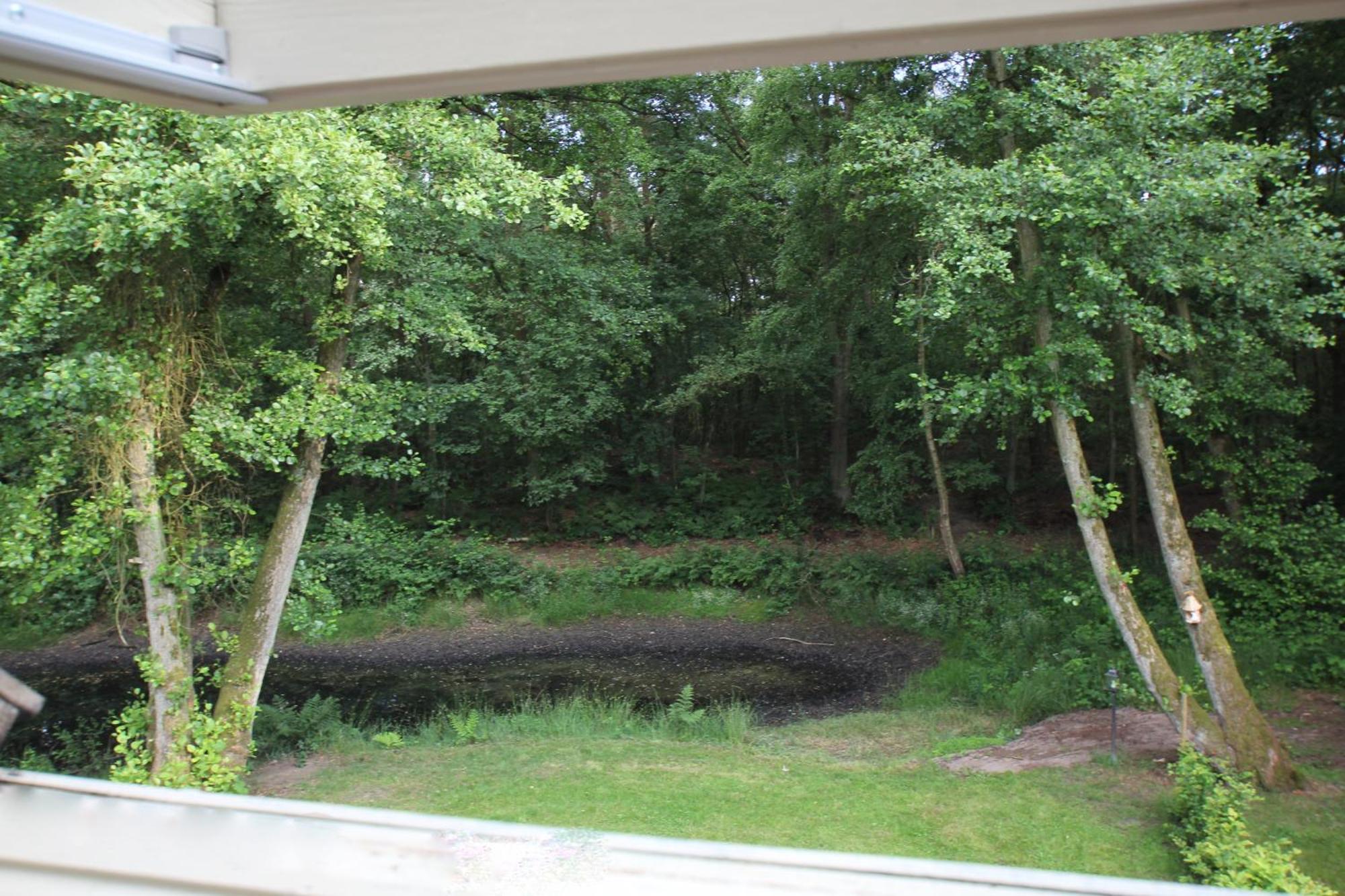 Landhuisjes Bij De Wouterbron Opglabbeek 部屋 写真
